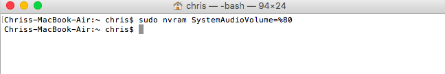 Run the sudo nvram command that will mute the Mac startup sound.
