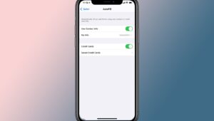 how-to-see-and-delete-saved-credit-cards-from-autofill-on-iphone