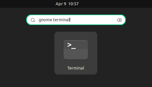 terminal-jammy-4445286