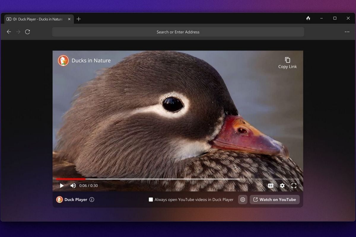 duckduckgo-browser-comes-to-windows-with-a-ton-of-privacy-and-security-features