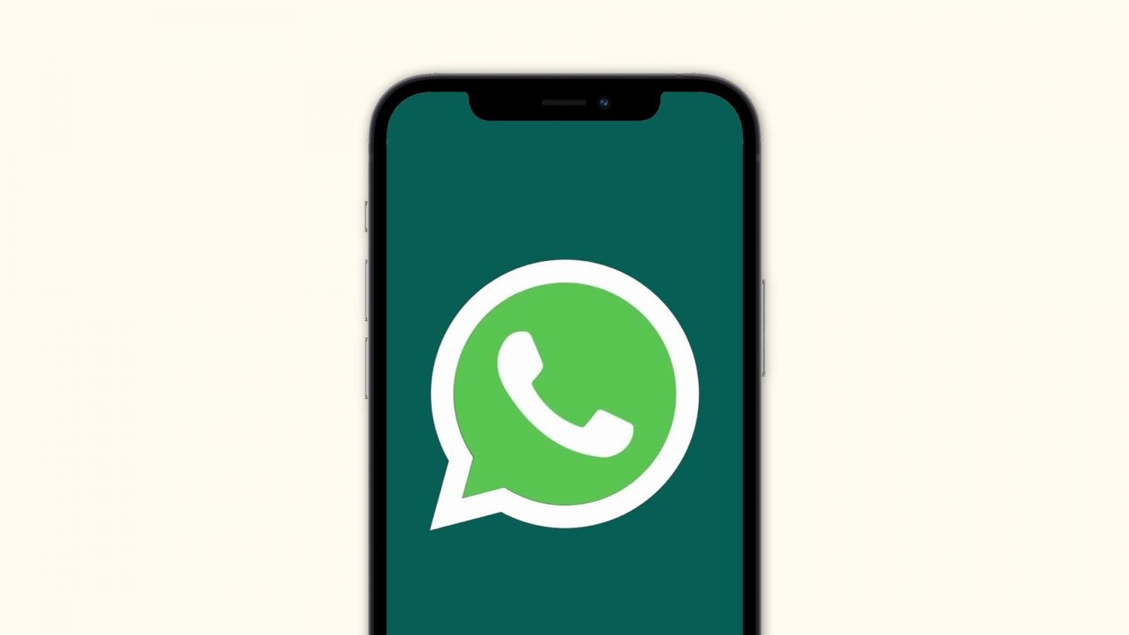 WhatsApp video calls just got more useful with screen sharing