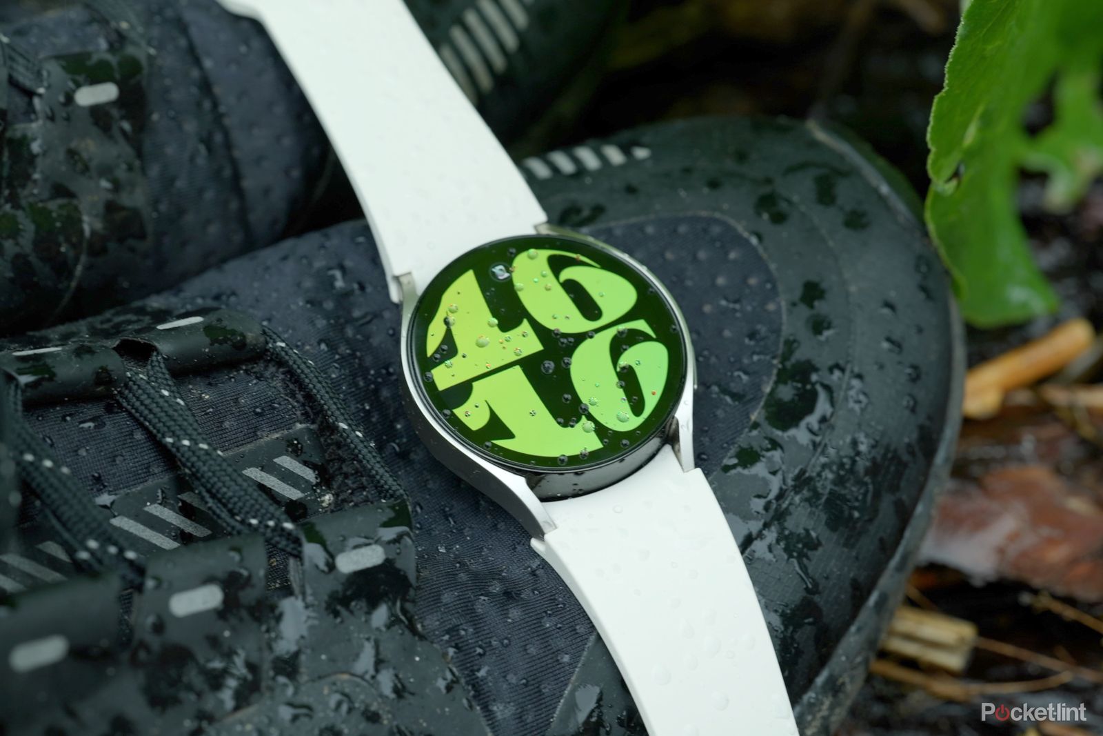 Samsung Galaxy Watch 6 review: More of the same