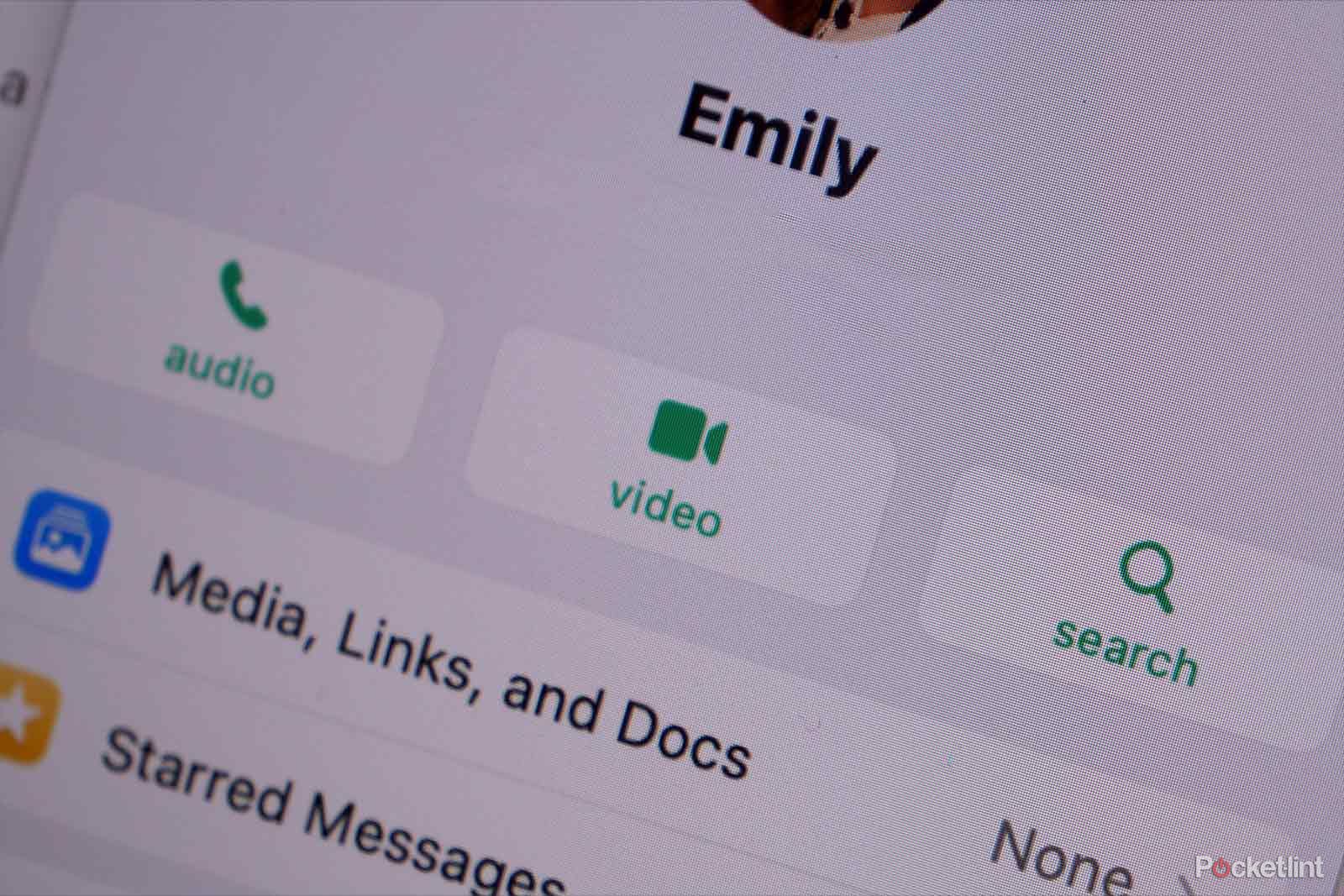 How to make WhatsApp video calls on your Mac
