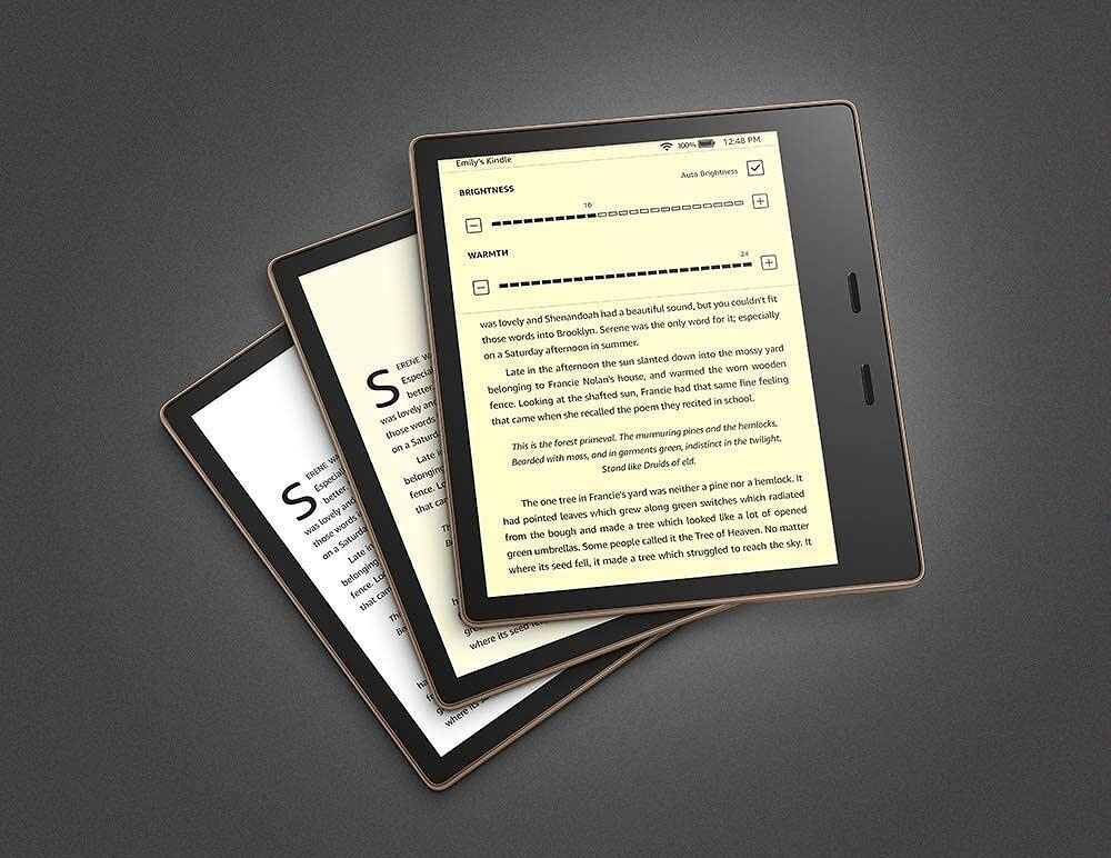 best-cases-for-the-kindle-oasis-(10th-gen)-in-2023