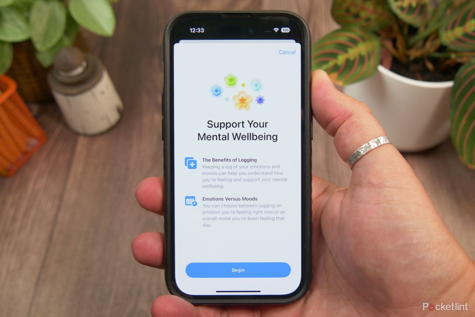 How to log moods and take a mental health assessment in Apple Health, and what happens after?