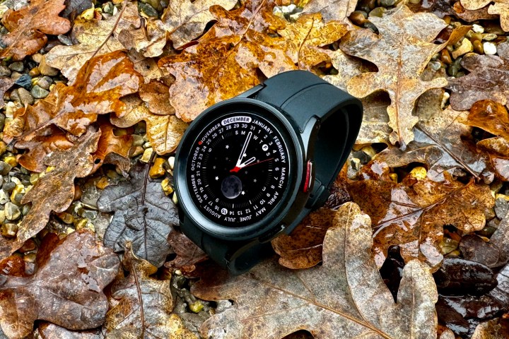 The Samsung Galaxy Watch 5 Pro against some leaves.
