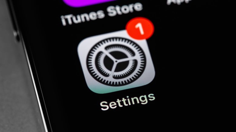 iPhone settings icon