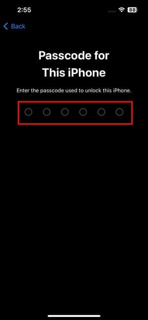 iPhone Passcode or PIN