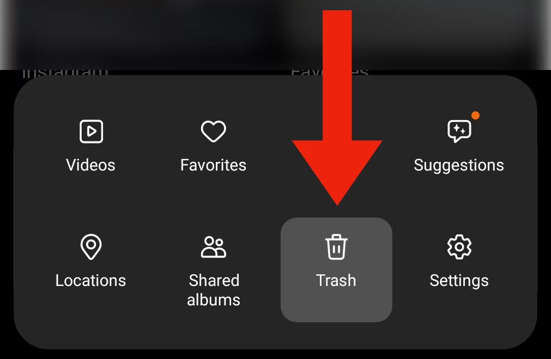 Samsung Gallery app and trash bin