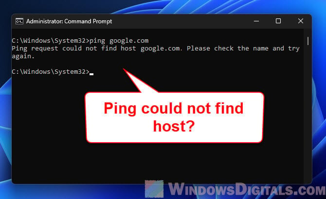 Ping request could not find host google.com, Why?