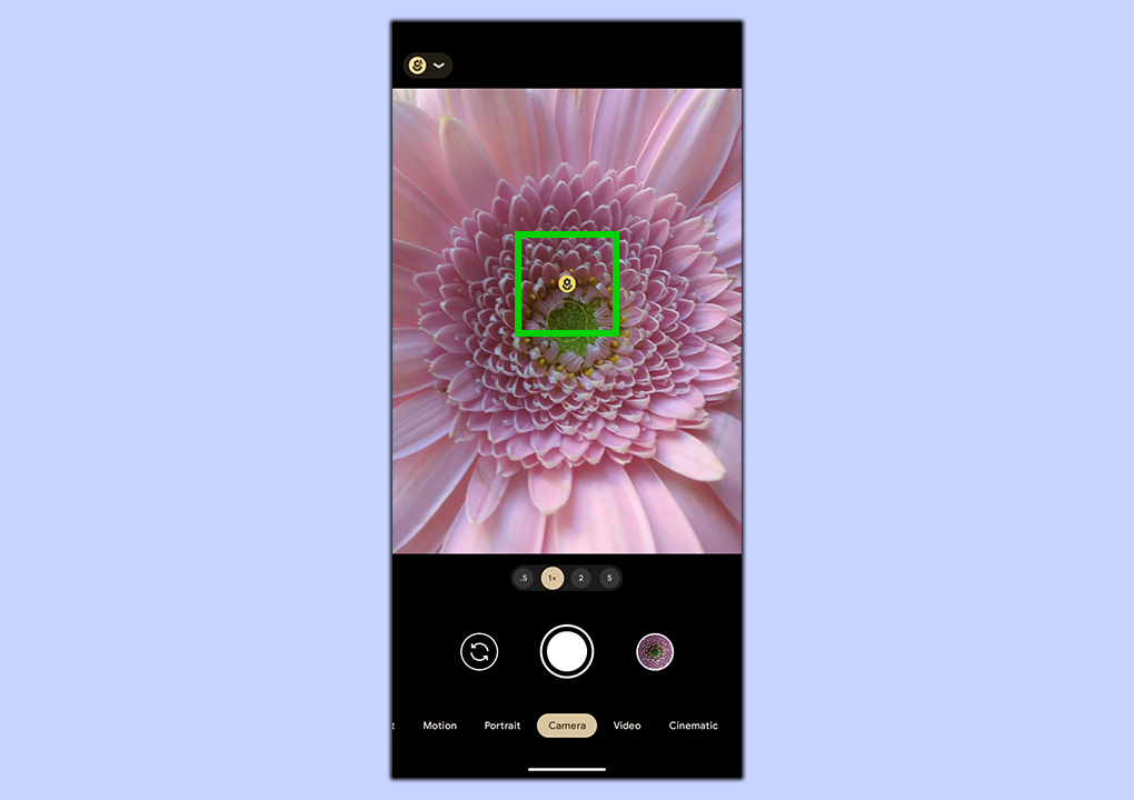 A screenshot showing how to use the Macro Mode on Pixel 7 Pro and Pixel 8 Pro devices