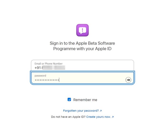 sign in with your Apple ID