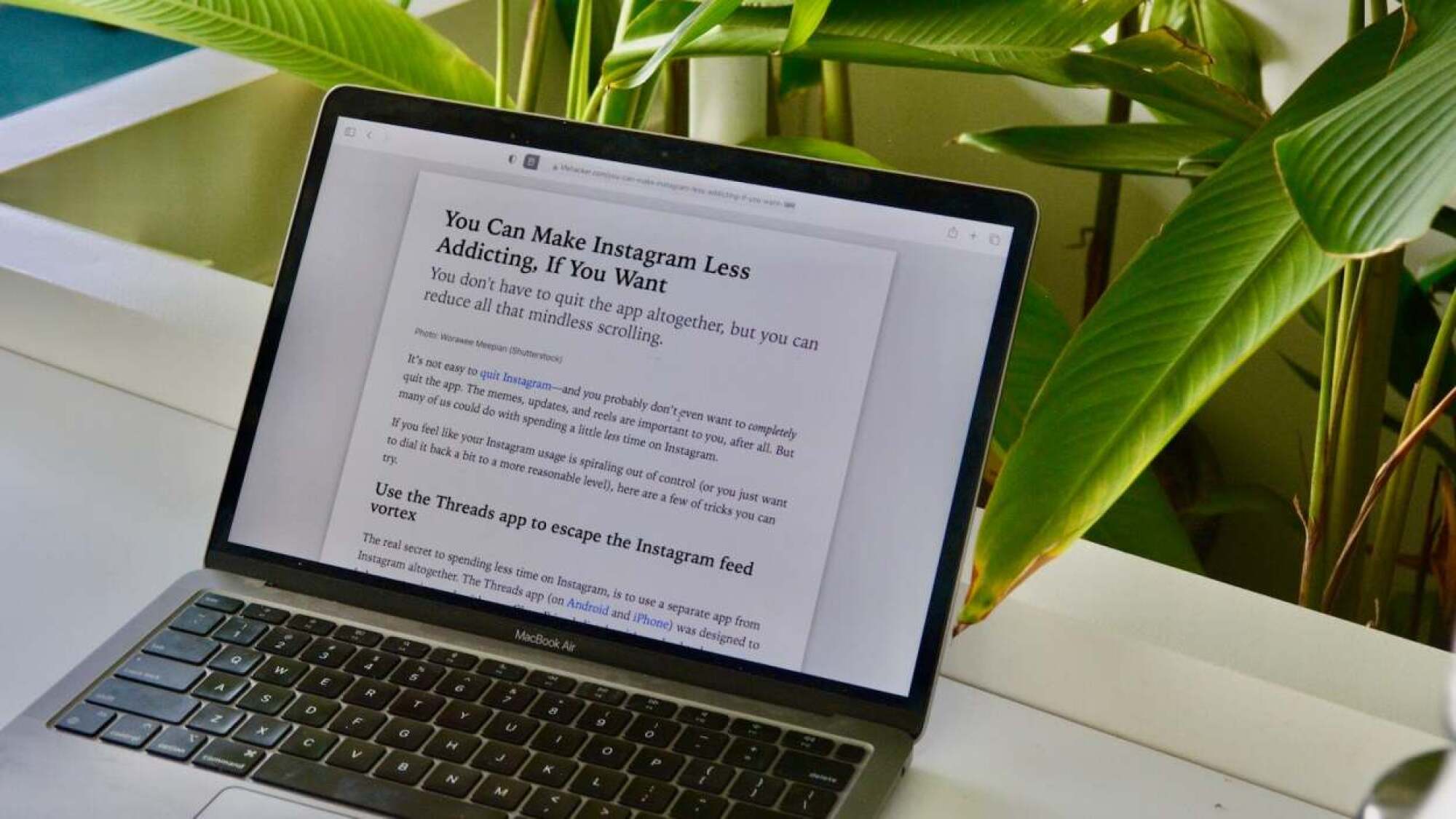 A MacBook on a desk surrounded by potted plants. The screen of the MacBook shows Reader mode open in Safari, on an article titled 