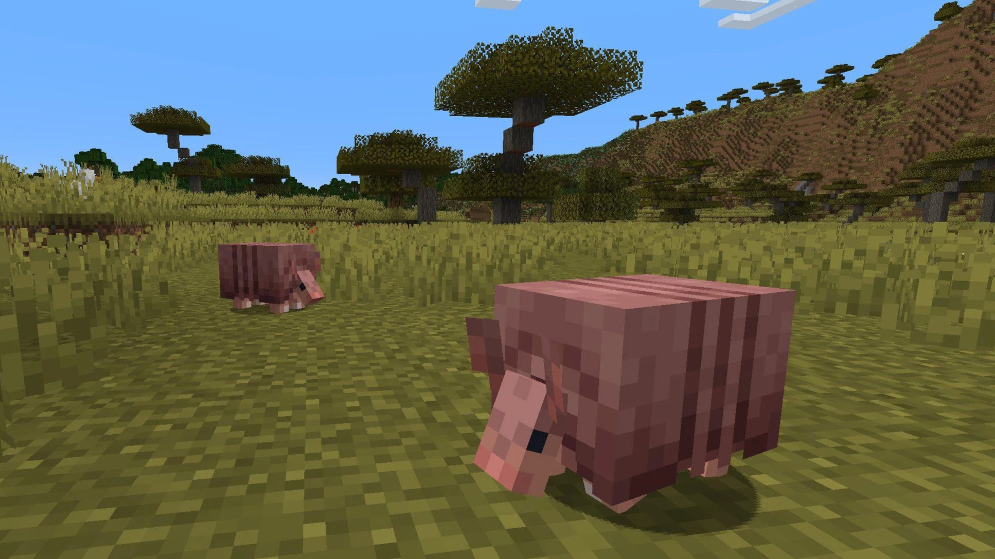 Minecraft Armadillo guide: Update release date, Wolf Armor, Scute, breeding, and more