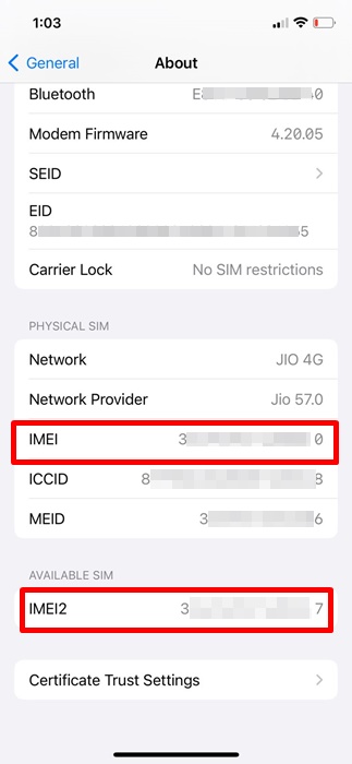 iPhone's IMEI Number