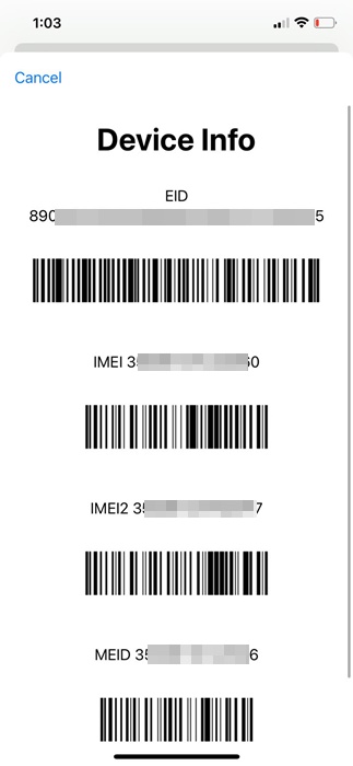 IMEI number of your iPhone